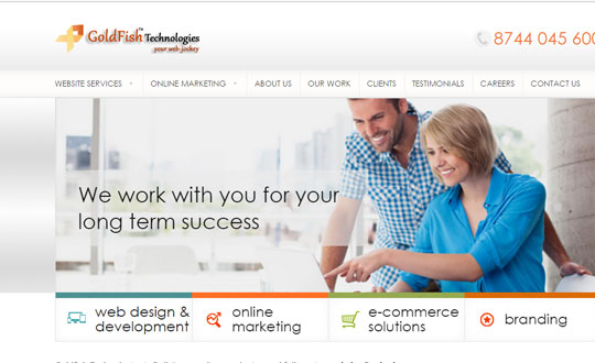 Goldfish Website Designing Company Delhi
